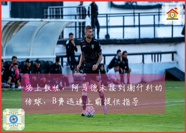 场上教练，阿马德未接到谢什科的传球，B费迅速上前提供指导