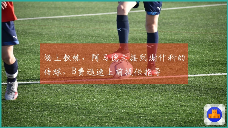 场上教练，阿马德未接到谢什科的传球，B费迅速上前提供指导
