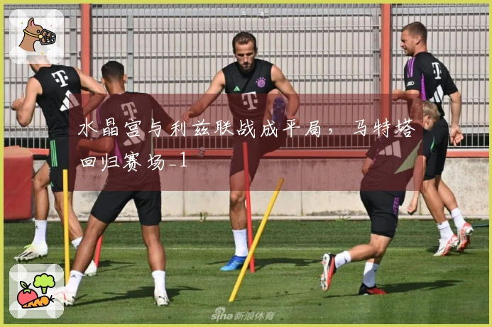 水晶宫与利兹联战成平局，马特塔回归赛场_1