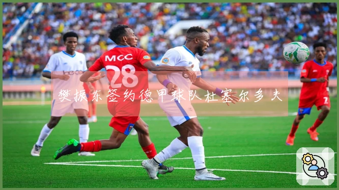 樊振东签约德甲球队杜塞尔多夫